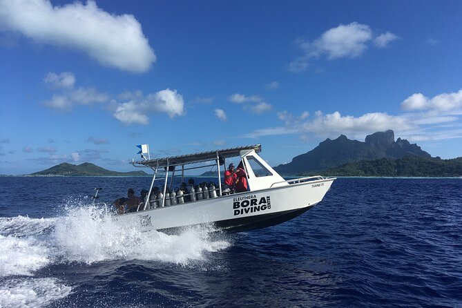 1 Afternoon Dive for Certified Divers in Bora Bora - A two-hour afternoon built around one underwater site