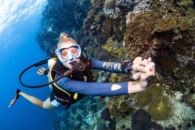 1 Day Discover Scuba Diving Experience in Koh Tao - Two afternoon sites put the lesson into practice