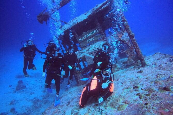 1 Day Diving Experience in Semporna - The Shipwreck site adds larger marine life