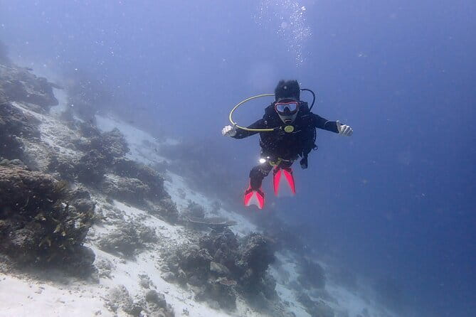 1 Day Diving Experience in Semporna - Skill levels and the North Point warning