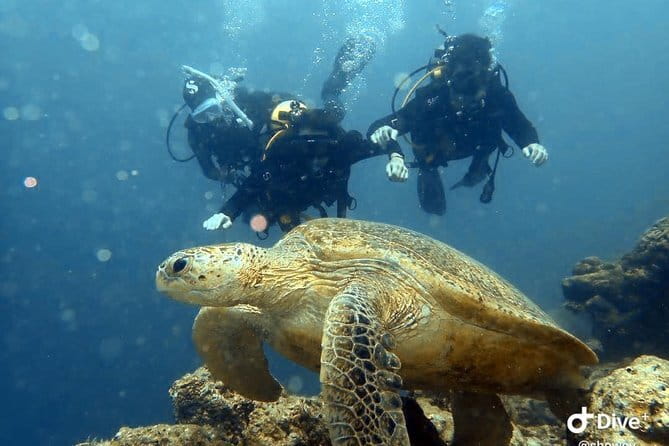 1 Day Diving Experience in Semporna - A practical day on the water