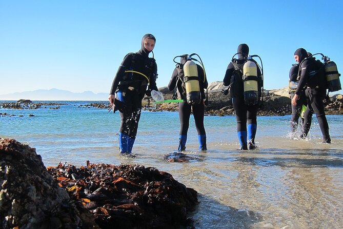 1-Hour Beach Diving Experience with Transfer from Sharm El Sheikh - Key points to know before booking