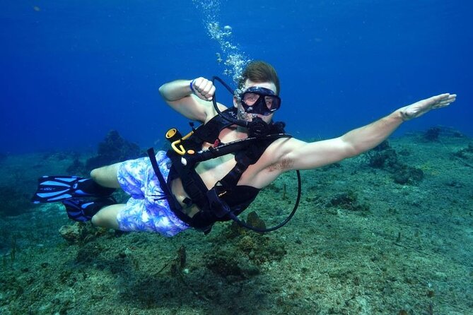 1 Tank Guided Shore Dive Including Equipment - Key points at a glance
