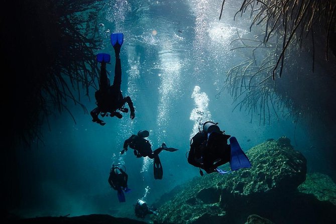 2 cenote divings (including one deep diving) for advanced divers in Tulum - Dos Ojos brings light, rock, and the bat cave