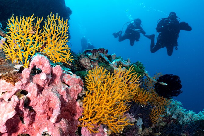 2 Days & 1 Night - 2 Dives in Lembongan/Penida (for certified divers) - What the $222.45 price really covers