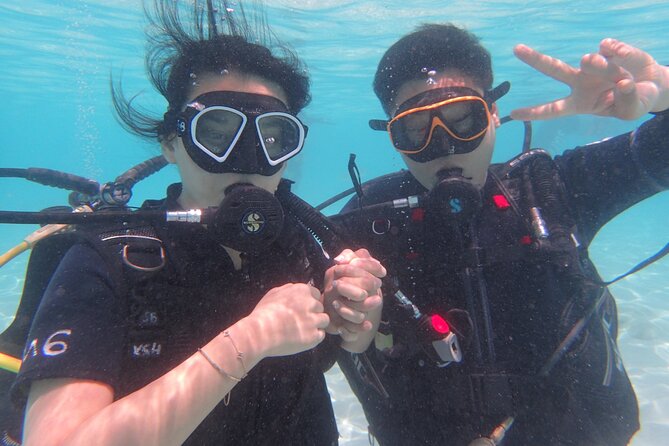 2 Days Diving Trip to Koh Tao Including 4 Dives and Accommodation - Four sessions around Koh Tao and Koh Nang Yuan