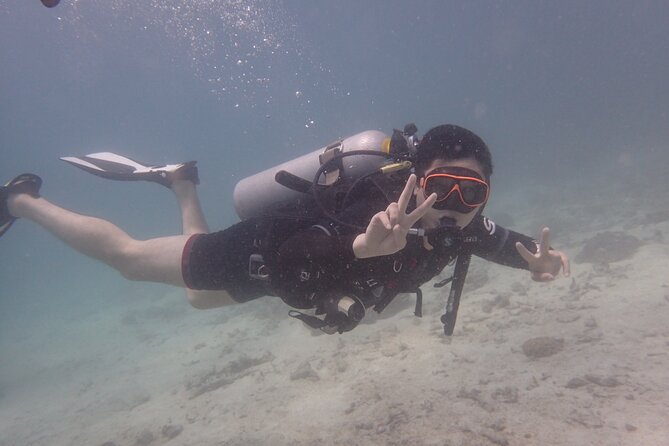 2 Days Diving Trip to Koh Tao Including 4 Dives and Accommodation - Who will get the most from this trip