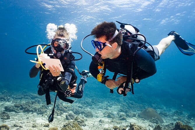 2 Days PADI Advanced Course from Phi Phi - What you are really buying for $417.93
