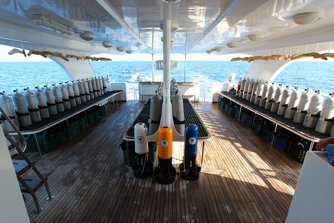 2-Dive adventure-Safe & Top-rated boat for Certified Divers - Booking details that can save you trouble