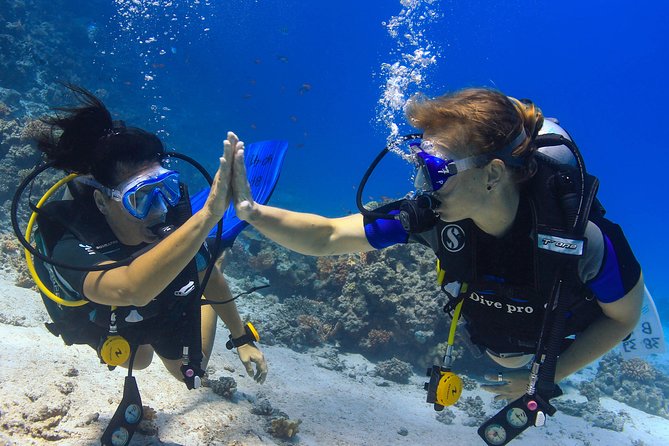 2-Dive adventure-Safe & Top-rated boat for Certified Divers - Why the small groups matter underwater
