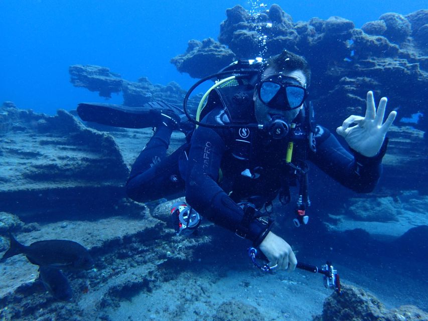 2-Dive Guided Scuba Diving For Qualified Divers - Why Tenerife’s volcanic coast makes a good underwater playground