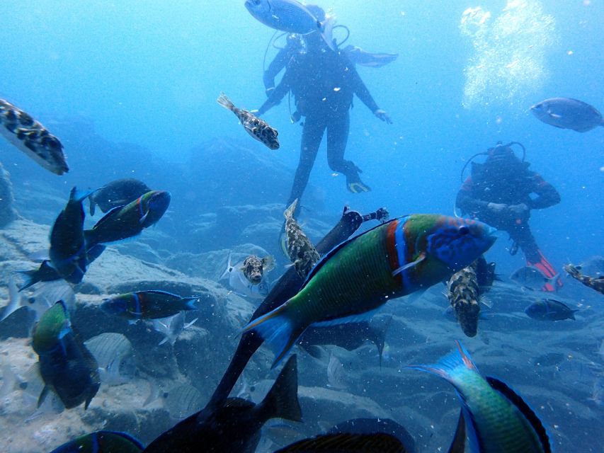 2-Dive Guided Scuba Diving For Qualified Divers - Equipment, insurance, and the real cost