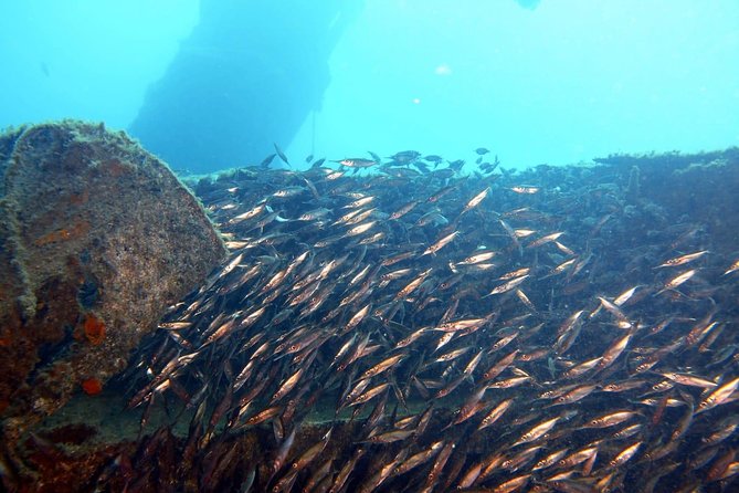 2 Dive Package for PADI Qualified Divers in Gran Canaria - Why the small group changes the experience