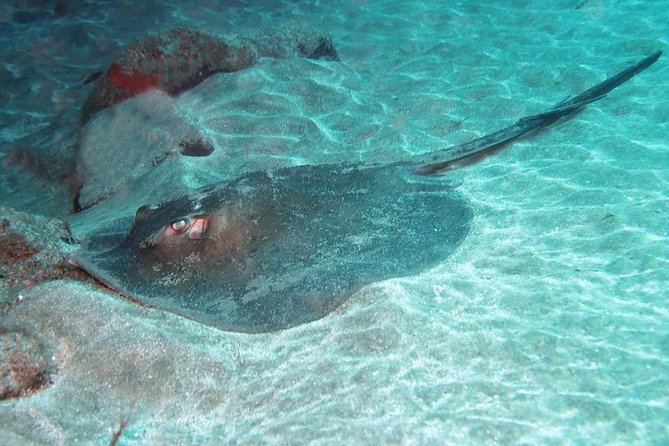 2 Dive Package for Qualified Divers in Gran Canaria - Key points for your Gran Canaria scuba outing