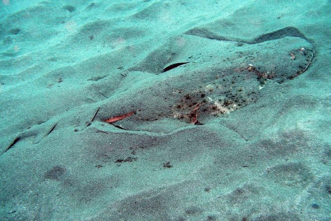 2 Dive Package for Qualified Divers in Gran Canaria - Who should book this experience