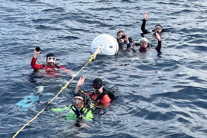 2 Dive Scuba Diving Reef Excursion to Key Largo Marine Sanctuary - A guide who points out what you might miss