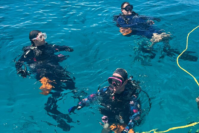 2 Dive Scuba Diving Reef Excursion to Key Largo Marine Sanctuary - The boat, staff, and group atmosphere