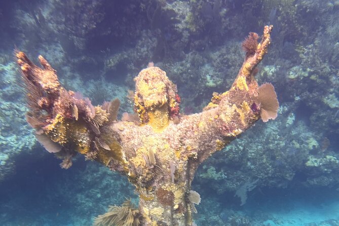2 Dive Scuba Diving Reef Excursion to Key Largo Marine Sanctuary - Conditions, comfort, and safety