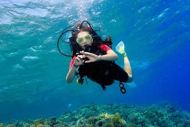 2 Dive Stops Intro Scuba Diving With Lunch & Transfer - Hurghada - The first reef stop: learning to relax underwater