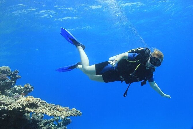 2 Dive Stops Intro Scuba Diving With Lunch & Transfer - Hurghada - Lunch onboard and time to reset