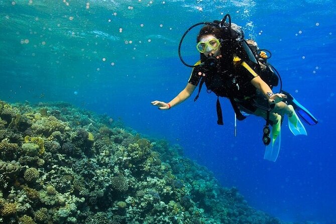2 Dive Stops Intro Scuba Diving With Lunch & Transfer - Hurghada - What the $21 price really covers