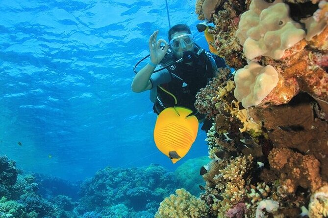 2 Dive Stops Intro Scuba Diving With Lunch & Transfer - Hurghada - Who will get the most from this trip