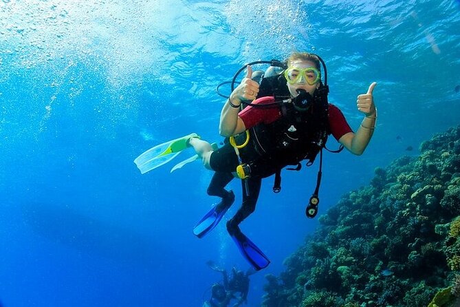 2 Dive Stops Intro Scuba Diving With Lunch & Transfer - Hurghada - The 8:00 am start and ride to the marina