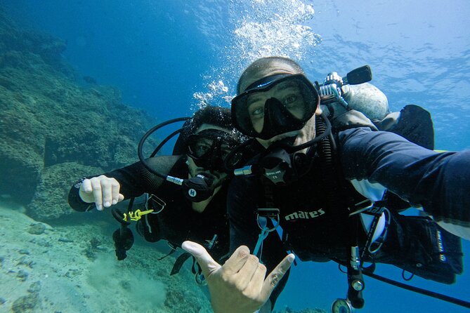 2 Dives for certified divers in Fujairah with BBQ lunch - Two underwater sessions, two chances to see something new