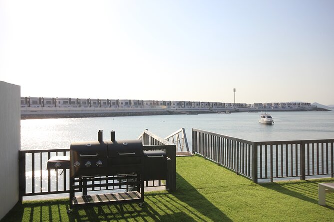 2 Dives for Certified Divers in Fujairah with lunch & transfer - Is the $150.70 price fair?