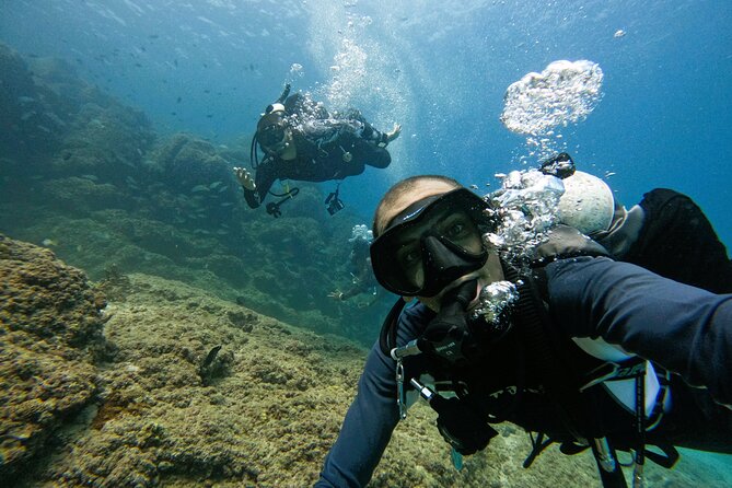 2 Dives for Certified Divers in Fujairah with lunch & transfer - Who will get the most from this outing?