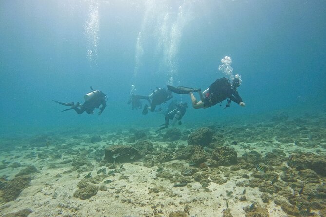 2 Dives for Certified Divers in Fujairah with lunch & transfer - Getting ready for the first underwater session
