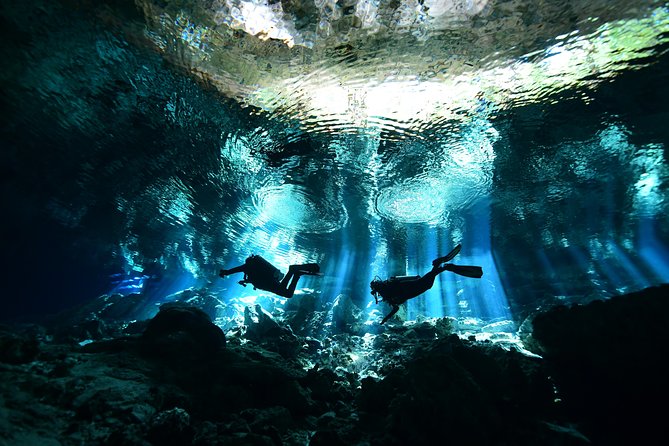 2 dives in Cenote Dos ojos Certified Divers - Key points to know before booking