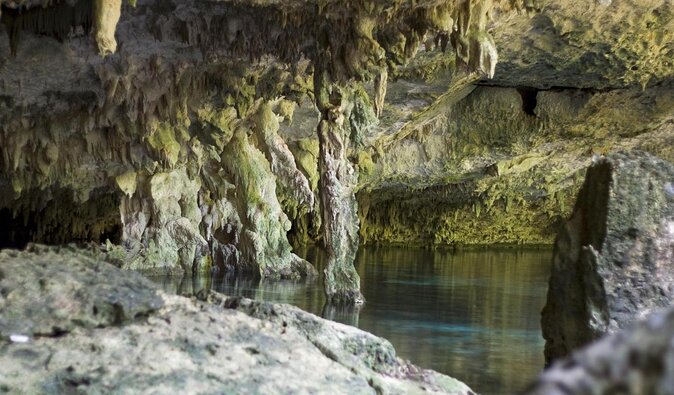 2 dives in Cenote Dos ojos Certified Divers - Why Dos Ojos makes this Tulum outing special