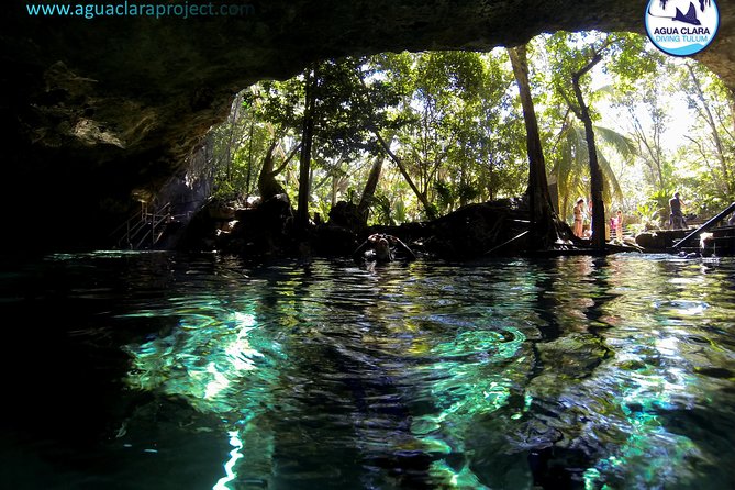 2 dives in Cenote Dos ojos Certified Divers - What happens during the first underwater session