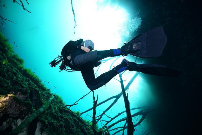 2 dives in Cenote Dos ojos Certified Divers - The break between sessions