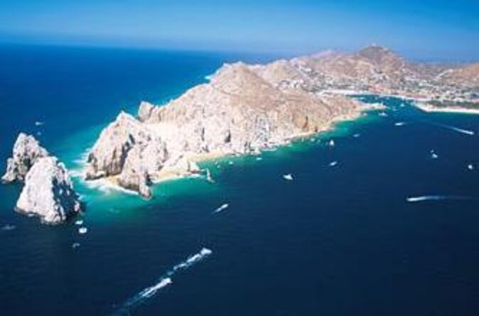 2 Dives in the Cabo Marine Park - What makes this Cabo scuba outing worth your time