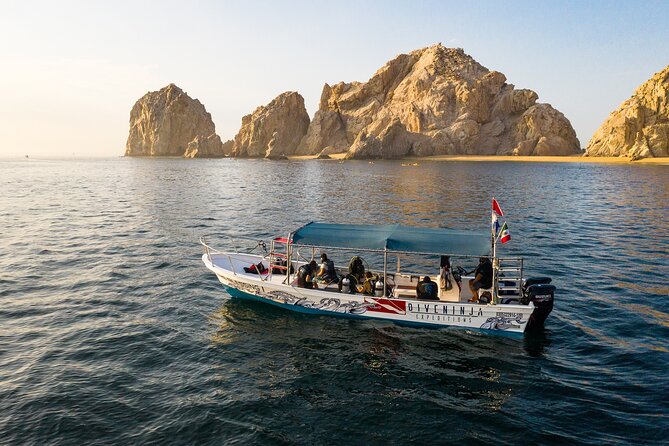 2 Dives in the Cabo Marine Park - Who should book this Cabo Marine Park tour?