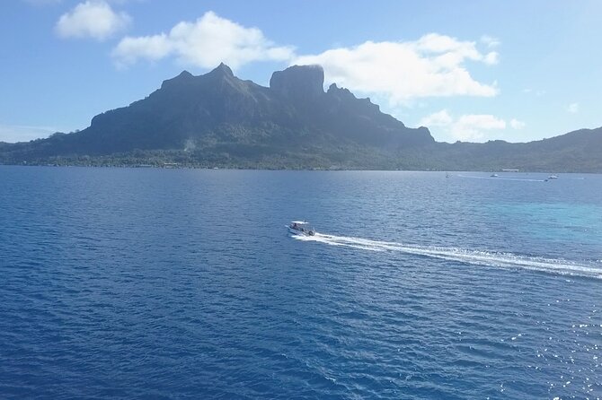 2 Dives in the morning for certified divers in Bora Bora - A small boat built for scuba gear