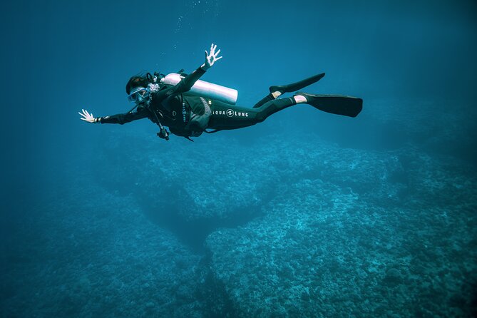 2 Dives in the morning for certified divers in Bora Bora - Who gets the best value for $235.69