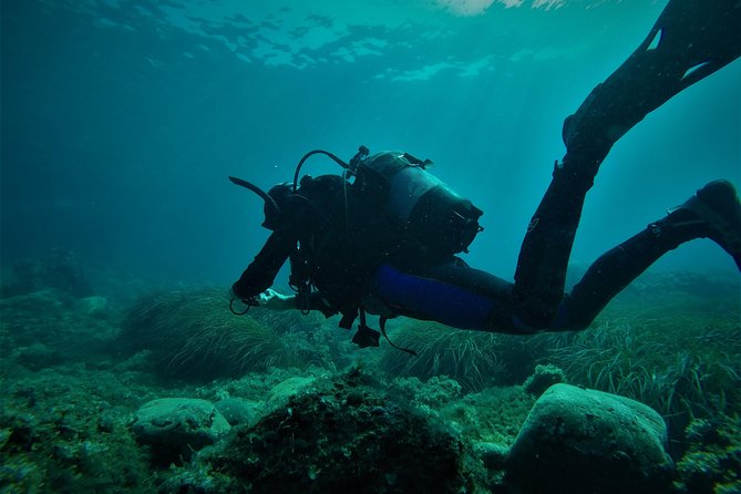 2 Dives Package - Key things to know before you book