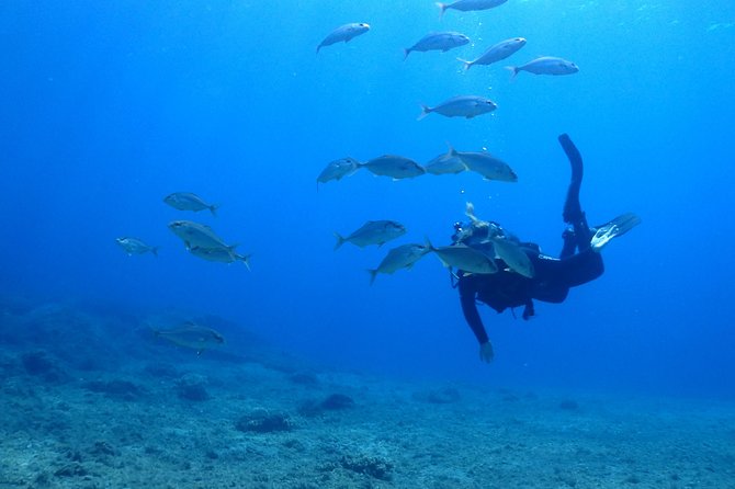 2 Dives Package - The surface break on Kassandra’s coast