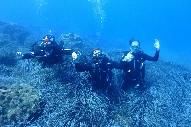 2 Dives Package - Equipment, timing, and what the price covers