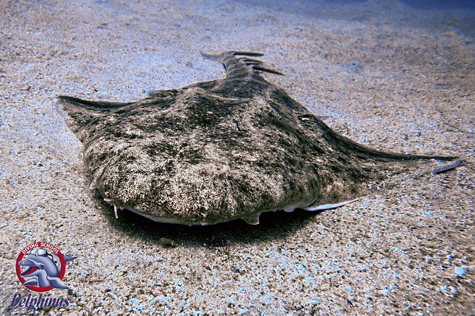 2 Diving Sites Scuba Diving Package in Gran Canaria - How physically demanding is the day?