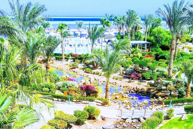 2 Diving stops at the most beautiful coral reefs Hurghada - What the customer service seems like