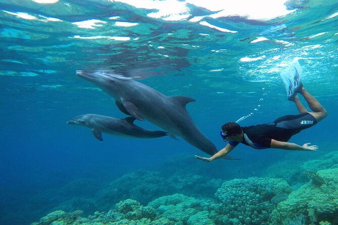 2 Diving stops at the most beautiful coral reefs Hurghada - Four hours around Hurghada and the yacht