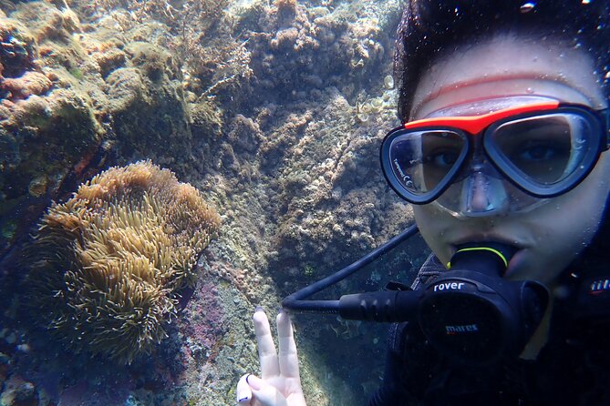 2 Fun Dives for certified Divers - Food, comfort, and the boat day
