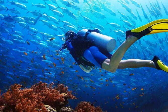 2 Fun Dives in Racha Yai or Noi for Certified Divers - Weather can change the plan