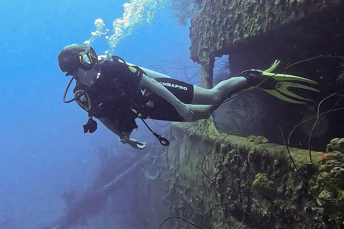 2 guided shore dives in Curacao - Key points to know before booking