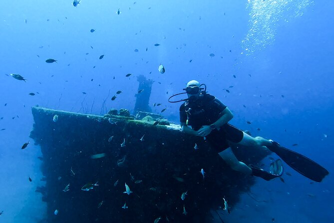 2 guided shore dives in Curacao - Is $140 a fair price?