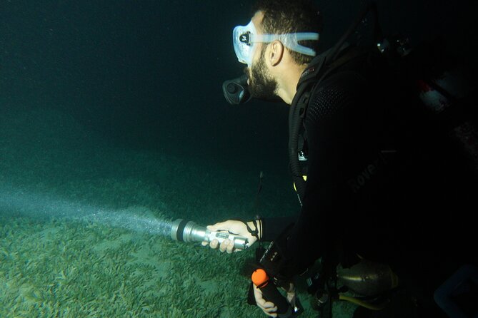 2 Hour Private Night Diving in the Red Sea of Aqaba - Why Aqaba’s reef feels different after dark
